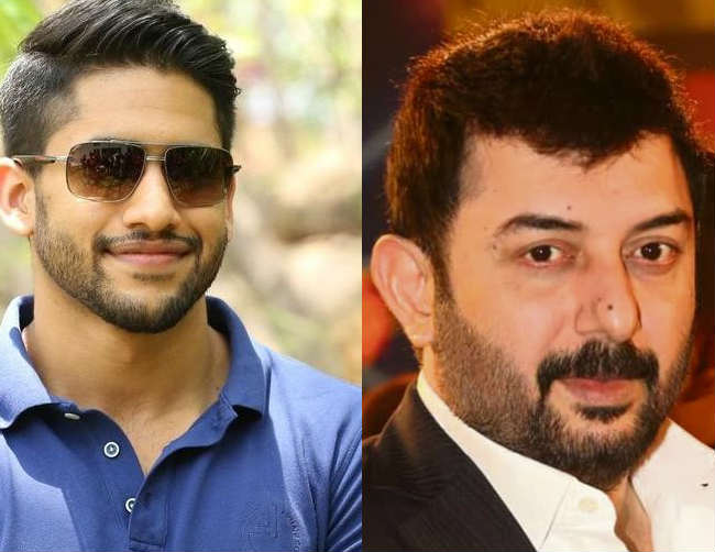 naga chaitanya aravind swamy